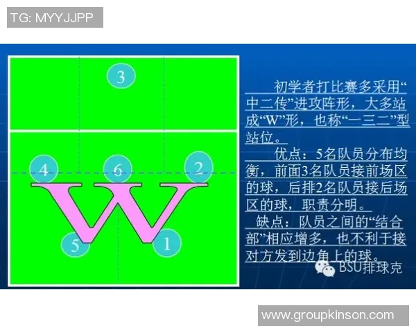 从零基础到高手之路:全面解析排球战术与技巧的终极指南 从零基础到高手之路:全面解析排球战术与技巧的终极指南